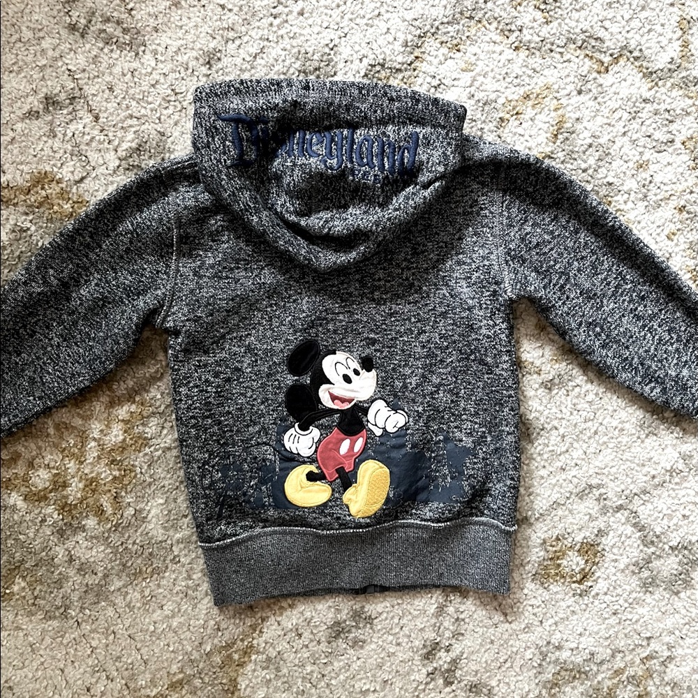 2019 Disneyland Zip Hoodie. Gray. Size XS (about 3-4t).